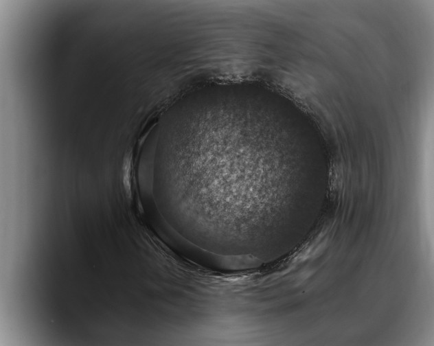 X0000090701202200707201151