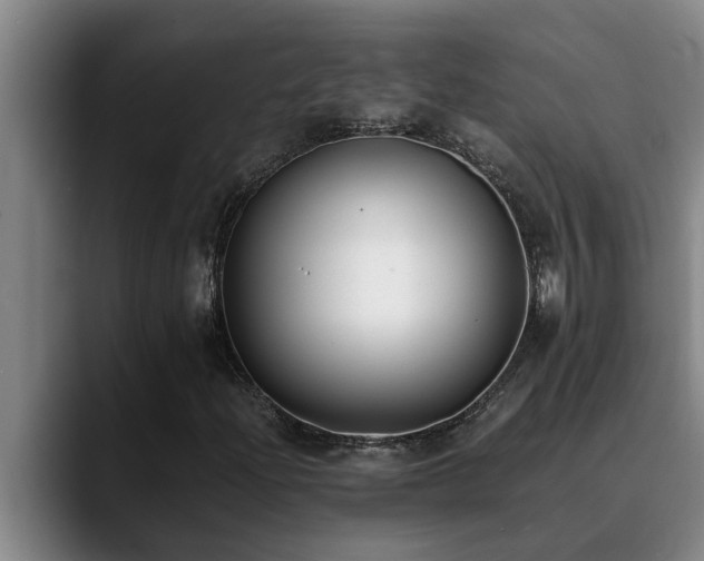 X0000090701204200707201151