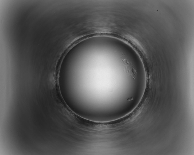 X0000090701212200707201151