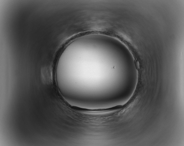 X0000090701214200707201151