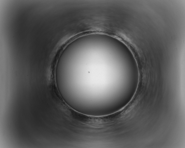 X0000090701215200707201151