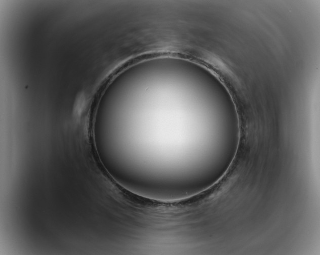 X0000090701216200707201151