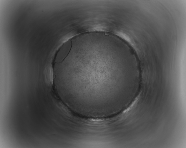 X0000090701219200707201151