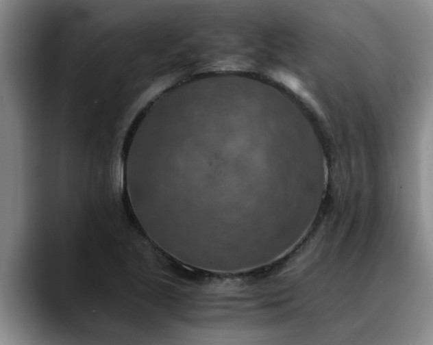 X0000090701221200707201151