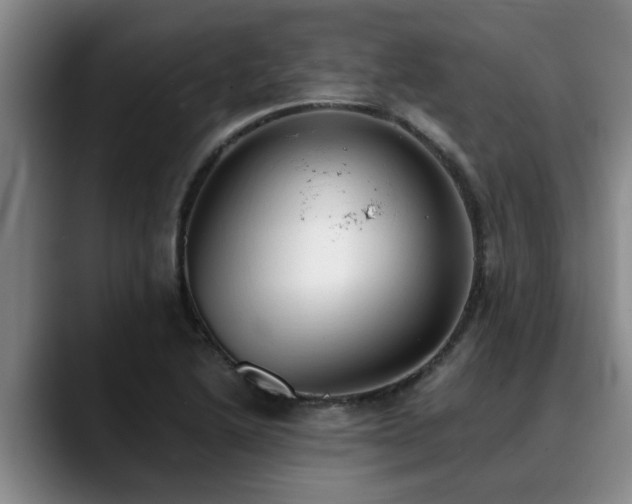 X0000090701222200707201151