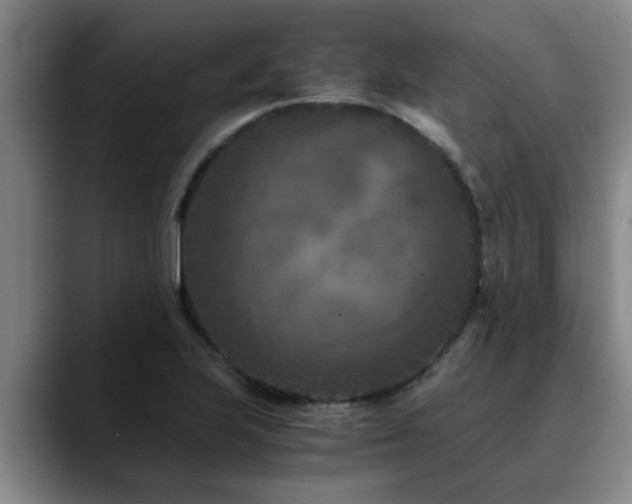 X0000090701223200707201151
