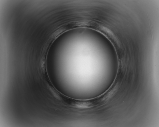 X0000090701225200707201151