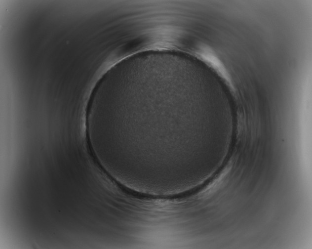 X0000090701226200707201151