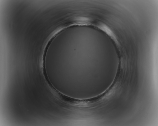 X0000090701229200707201151
