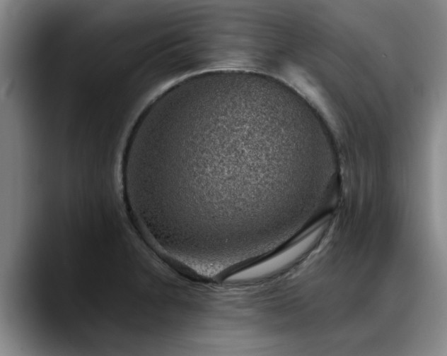 X0000090701230200707201151