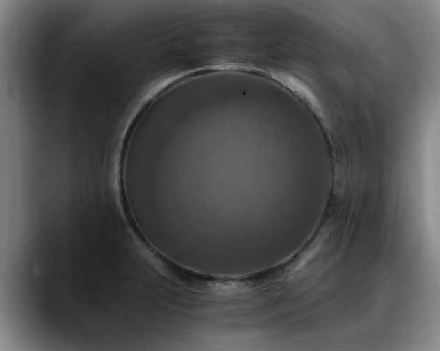 X0000090701231200707201151