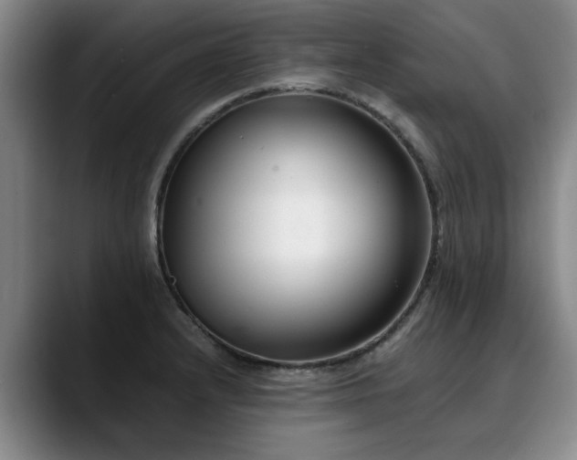X0000090701232200707201151