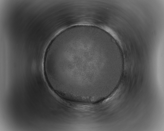 X0000090701237200707201151