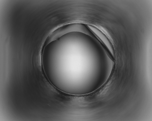 X0000090701238200707201151