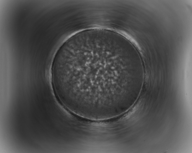X0000090701239200707201151