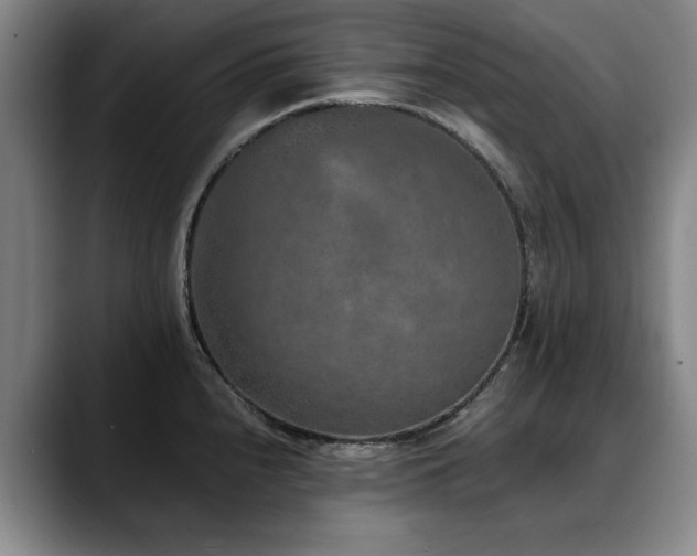 X0000090701240200707201151