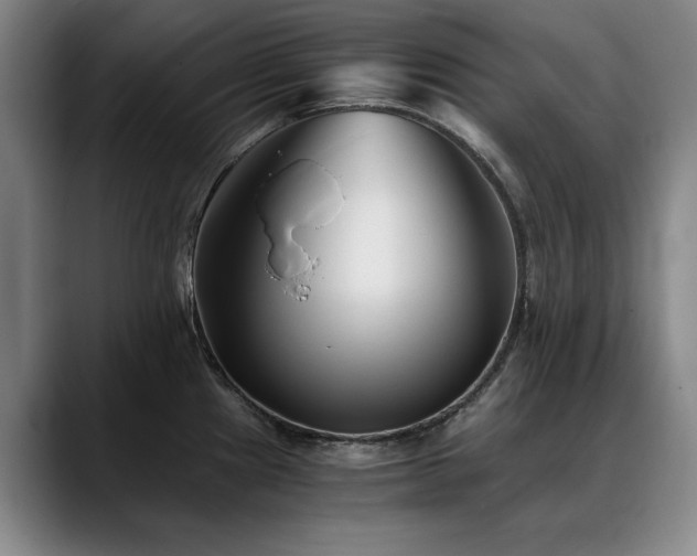 X0000090701241200707201151