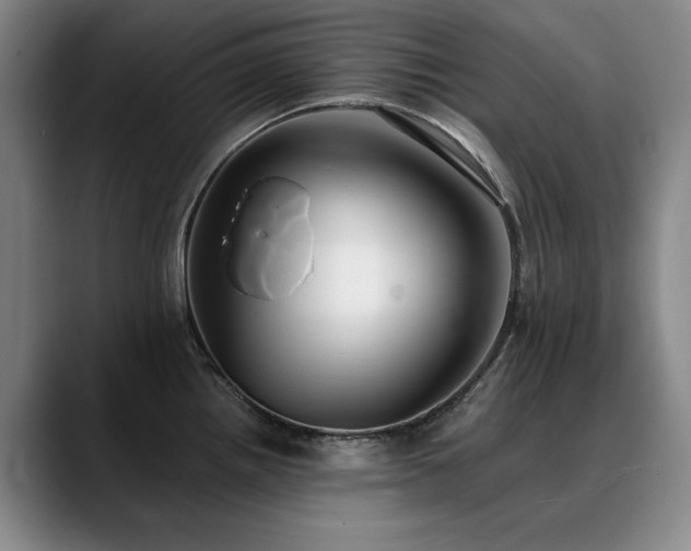 X0000090701242200707201152
