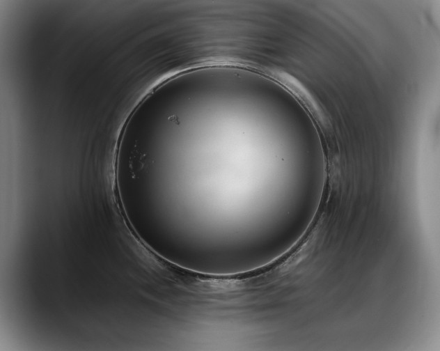 X0000090701244200707201152