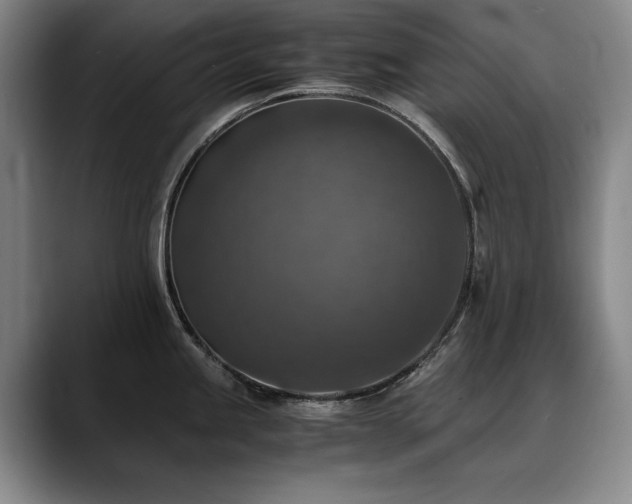 X0000090701245200707201152