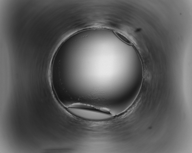 X0000090701247200707201152