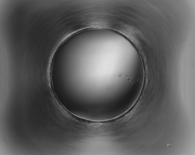 X0000090701248200707201152