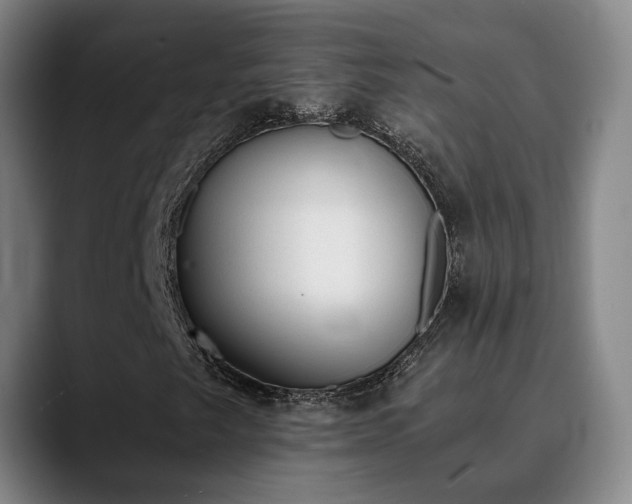 X0000090701249200707201151