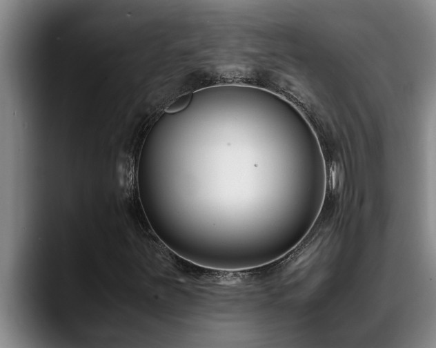 X0000090701251200707201151
