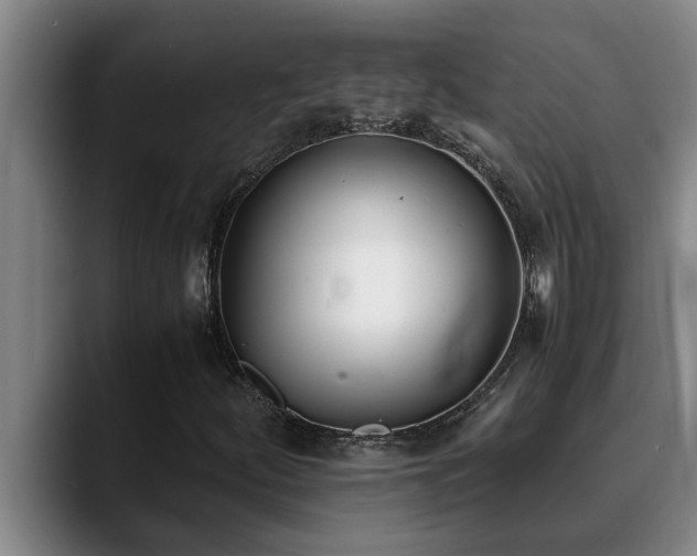 X0000090701252200707201151