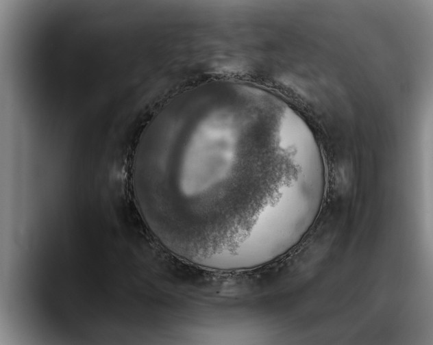 X0000090701254200707201151
