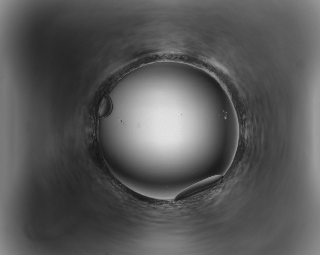 X0000090701255200707201151