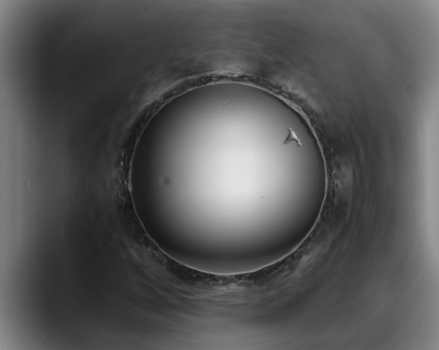X0000090701256200707201151