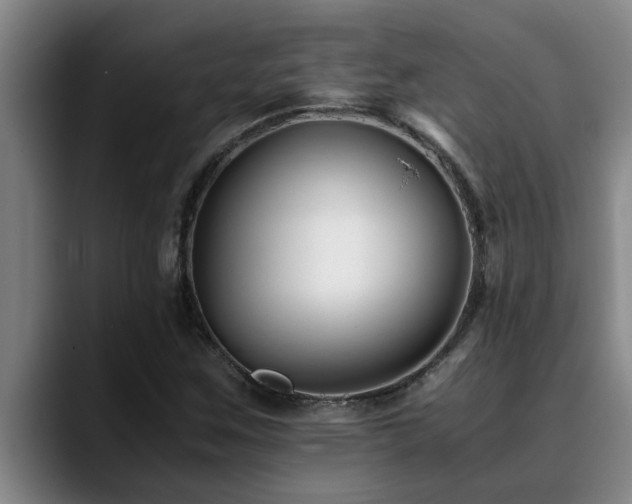 X0000090701259200707201151