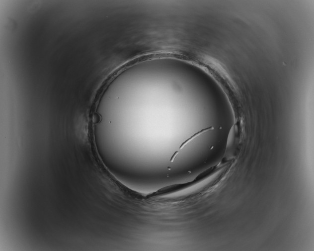 X0000090701260200707201151