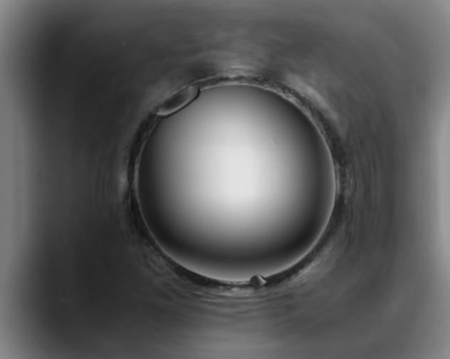 X0000090701261200707201151