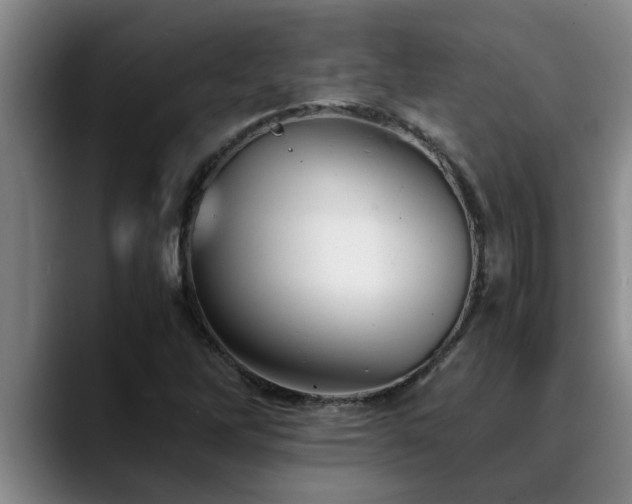 X0000090701262200707201151