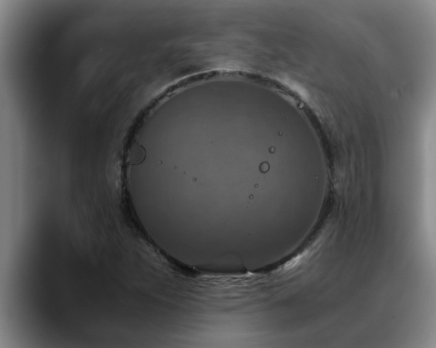 X0000090701263200707201151
