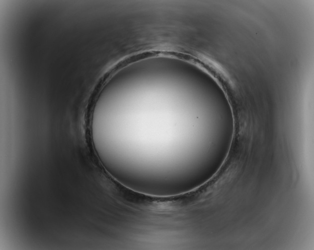 X0000090701264200707201151