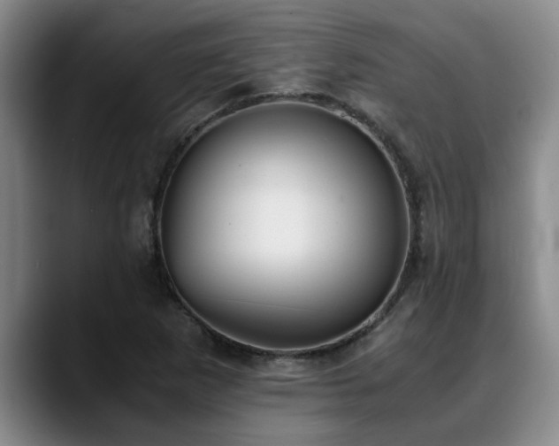 X0000090701265200707201151