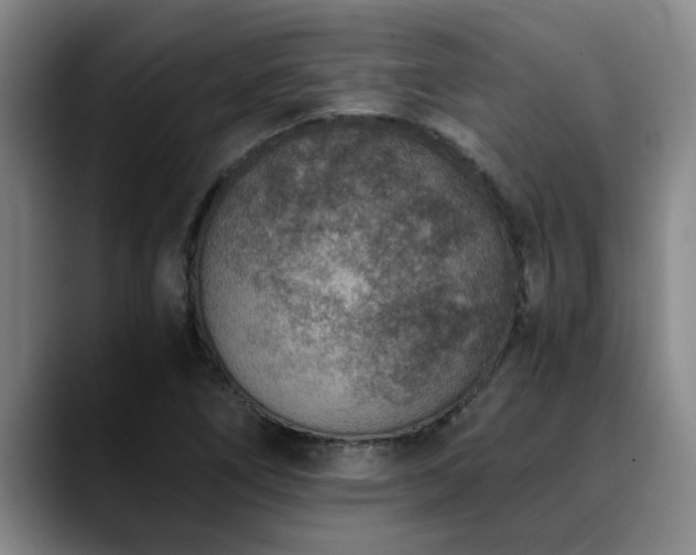 X0000090701266200707201151