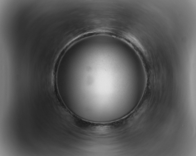 X0000090701268200707201151
