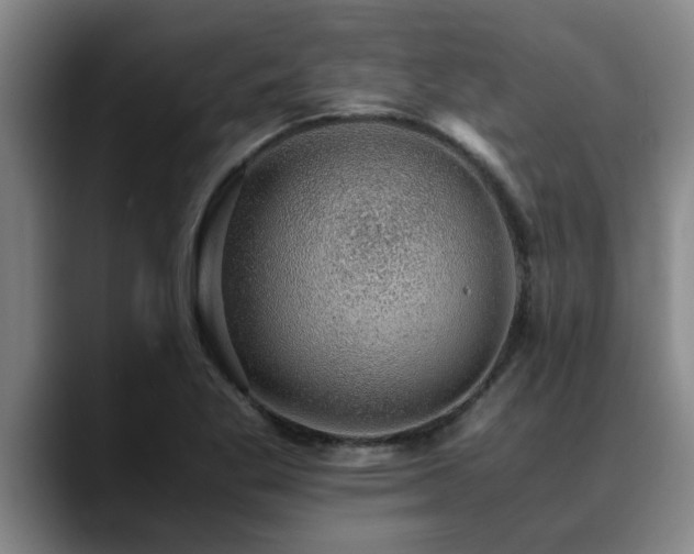 X0000090701269200707201151