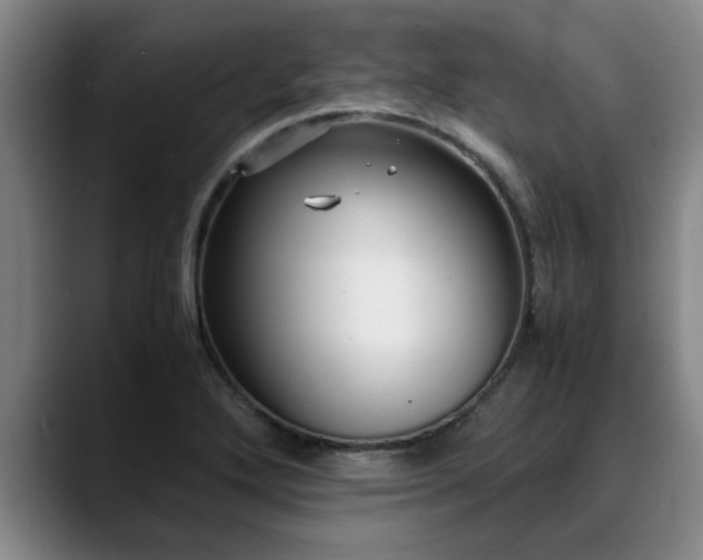 X0000090701272200707201151