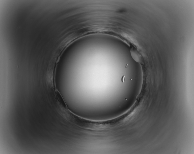 X0000090701273200707201151