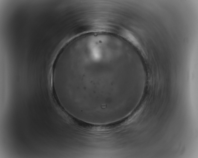 X0000090701275200707201151
