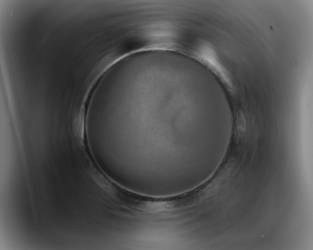 X0000090701276200707201151