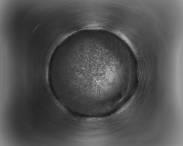 X0000090701277200707201151