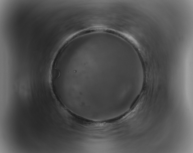 X0000090701279200707201151