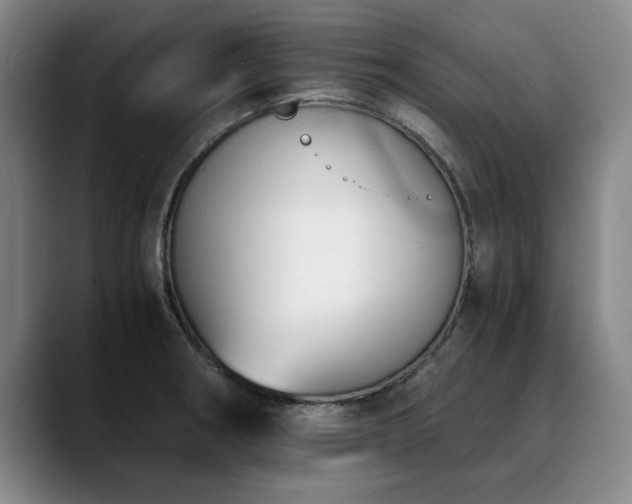 X0000090701282200707201151