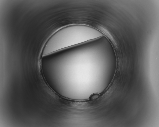 X0000090701284200707201151